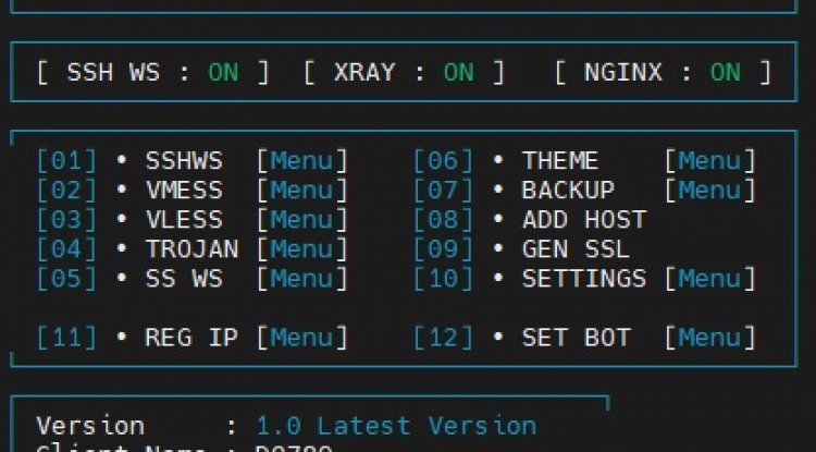 AutoScript Multiport WebSocket For Debian 10